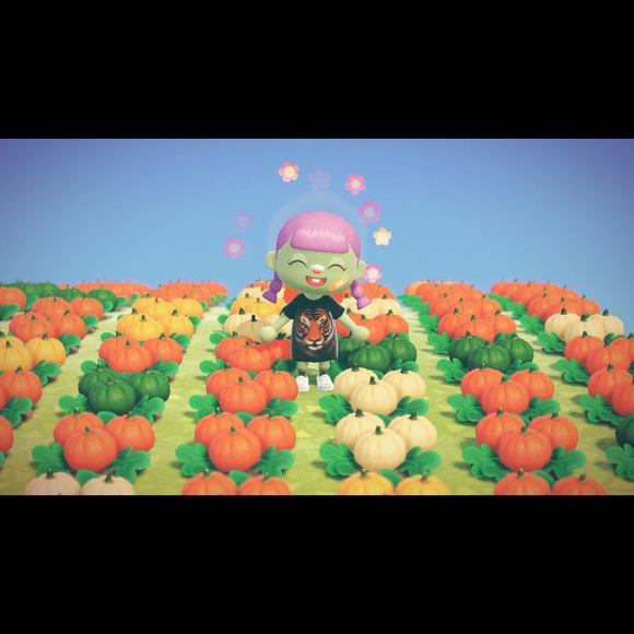 Meet your Posher, Caroline - Picture 1 of 1